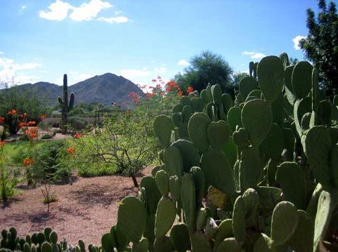 Scottsdale Cottonwoods Resort & Suites Εξωτερικό φωτογραφία